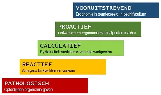 Ergonomiecultuur