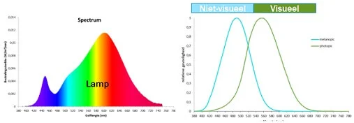 Een lamp heeft een fototopische en melanopische verlichtingssterkte.